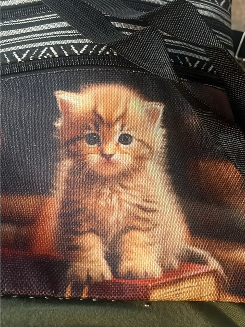 Kitten on books crossbody bag